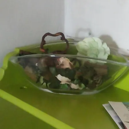 Nido Della Gallina
